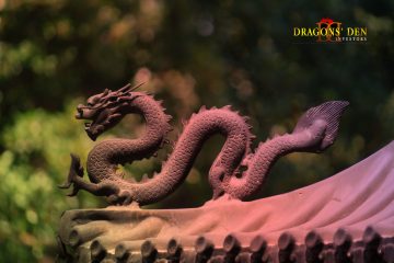 Dragons at the Dragons’ Den